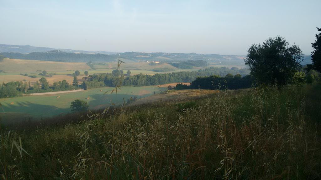 Agriturismo I Moricci Peccioli Екстериор снимка
